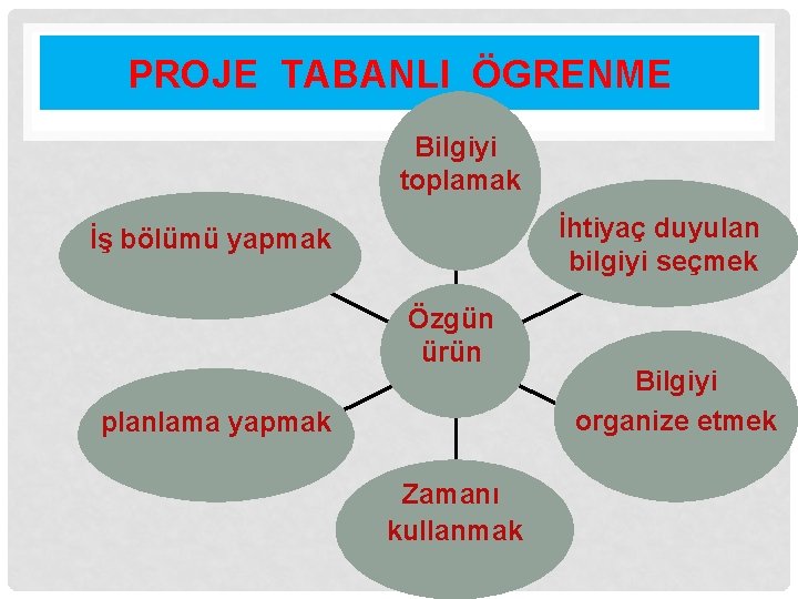 PROJE TABANLI ÖGRENME Bilgiyi toplamak İhtiyaç duyulan bilgiyi seçmek İş bölümü yapmak Özgün ürün