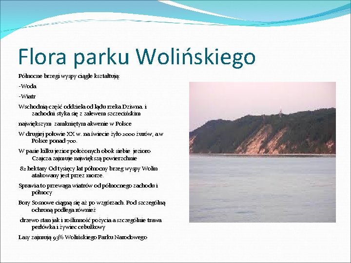 Flora parku Wolińskiego Północne brzegi wyspy ciągle kształtują: -Woda -Wiatr Wschodnią część oddziela od
