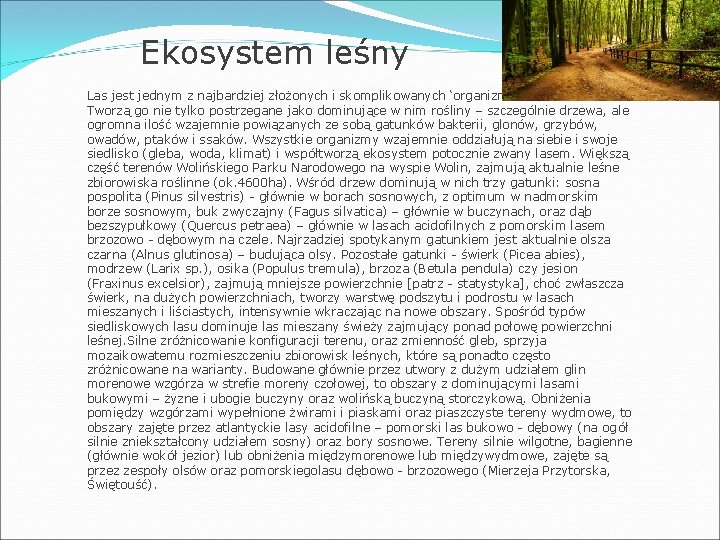 Ekosystem leśny Las jest jednym z najbardziej złożonych i skomplikowanych ‘organizmów’ na świecie. Tworzą
