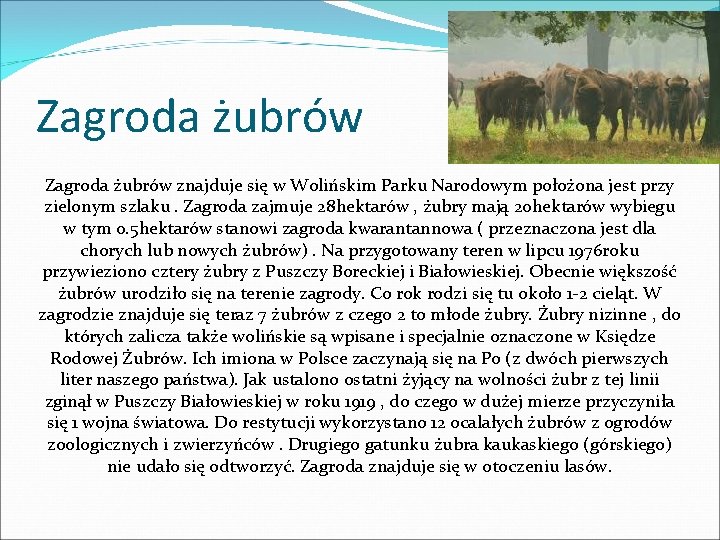 Zagroda żubrów znajduje się w Wolińskim Parku Narodowym położona jest przy zielonym szlaku. Zagroda