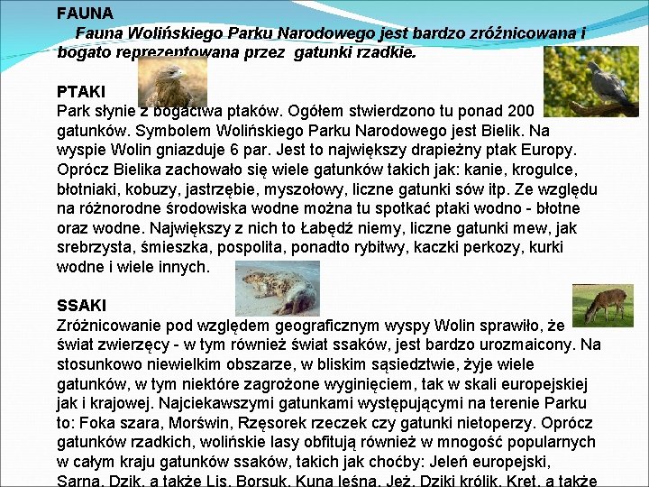 FAUNA Fauna Wolińskiego Parku Narodowego jest bardzo zróżnicowana i bogato reprezentowana przez gatunki rzadkie.