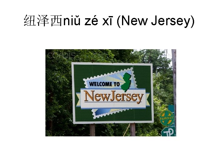 纽泽西niǔ zé xī (New Jersey) 