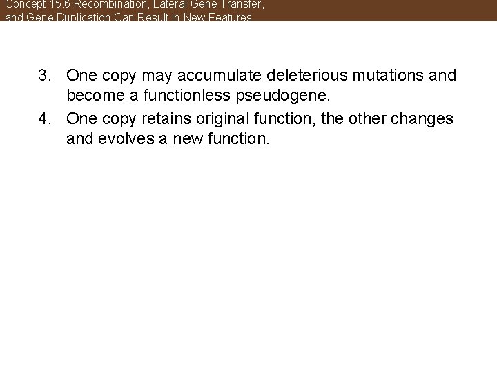 Concept 15. 6 Recombination, Lateral Gene Transfer, and Gene Duplication Can Result in New