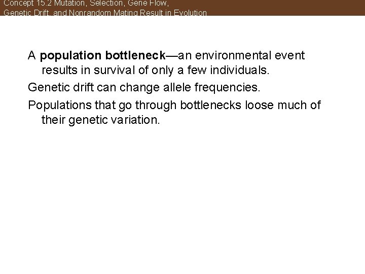 Concept 15. 2 Mutation, Selection, Gene Flow, Genetic Drift, and Nonrandom Mating Result in