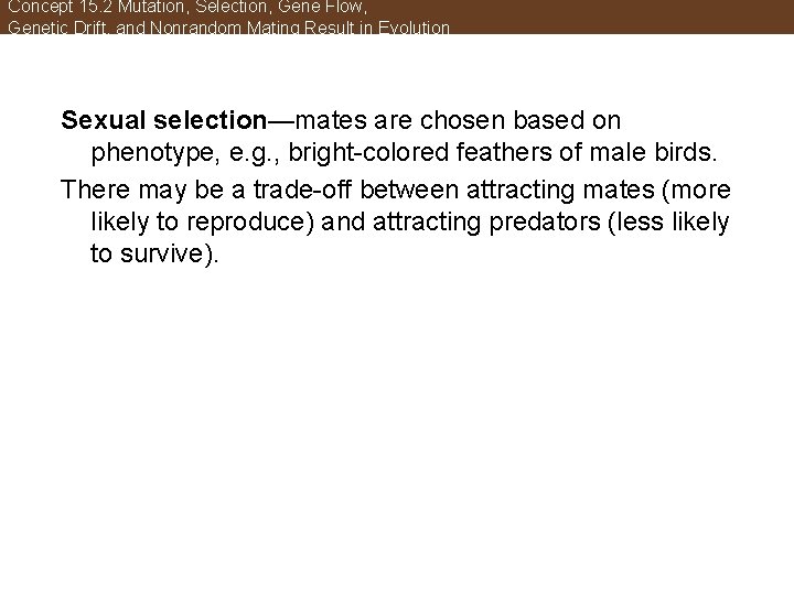 Concept 15. 2 Mutation, Selection, Gene Flow, Genetic Drift, and Nonrandom Mating Result in