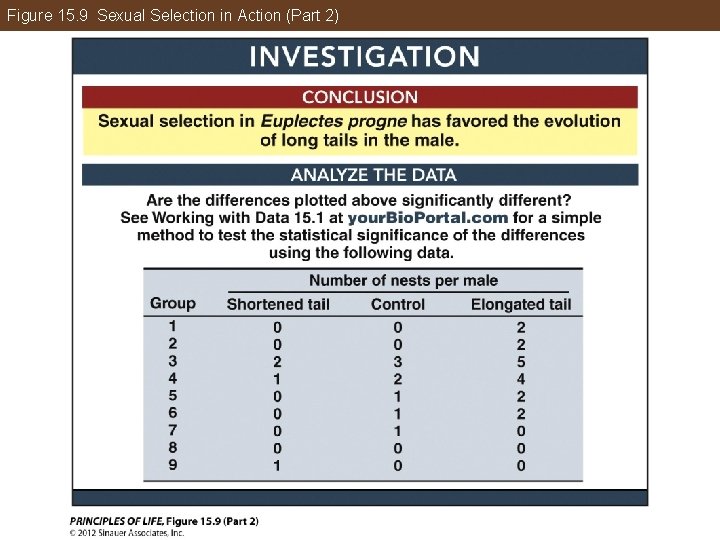 Figure 15. 9 Sexual Selection in Action (Part 2) 