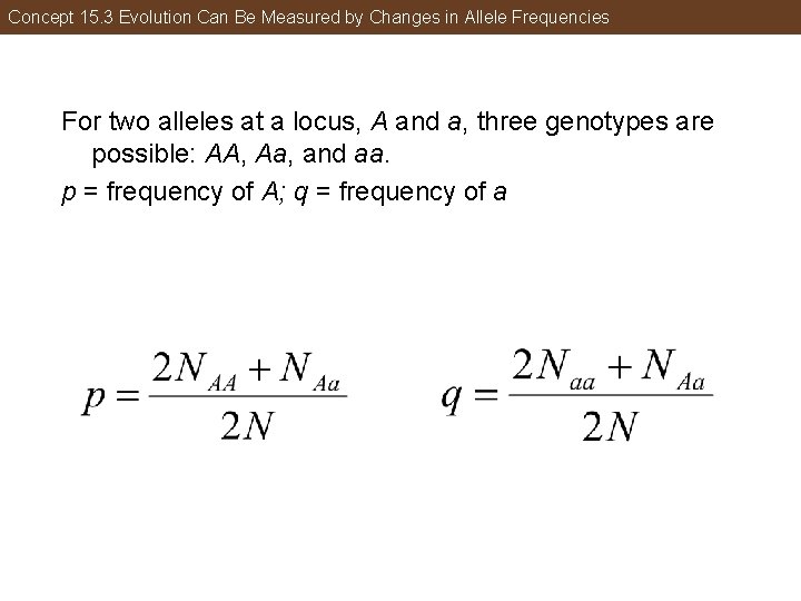 Concept 15. 3 Evolution Can Be Measured by Changes in Allele Frequencies For two