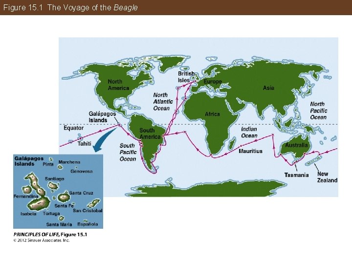 Figure 15. 1 The Voyage of the Beagle 