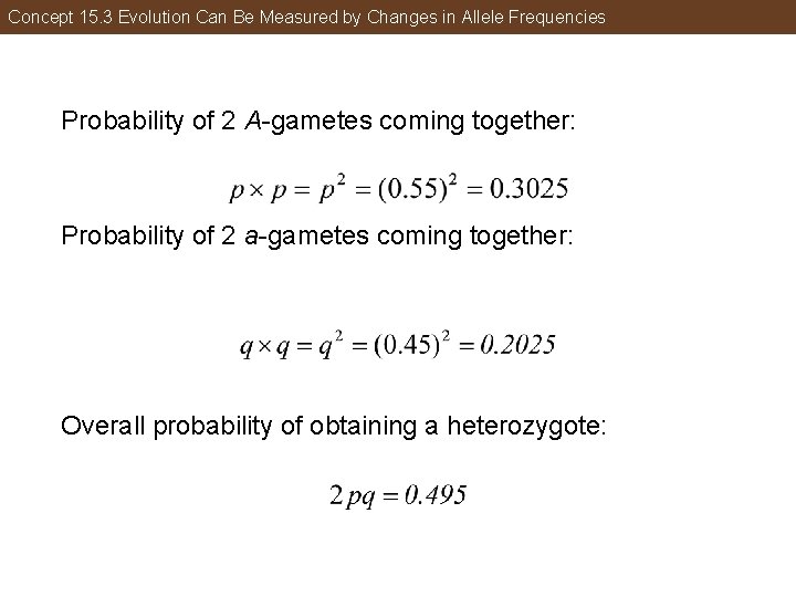 Concept 15. 3 Evolution Can Be Measured by Changes in Allele Frequencies Probability of