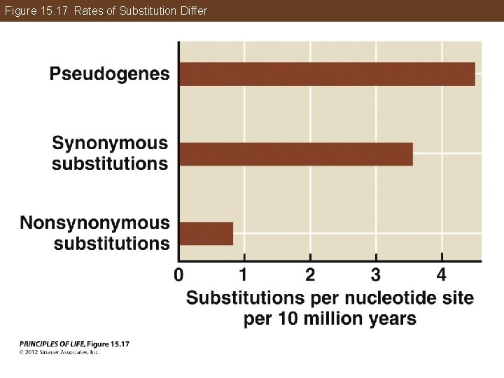 Figure 15. 17 Rates of Substitution Differ 