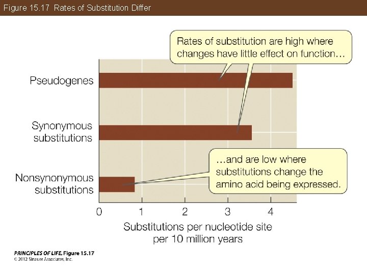 Figure 15. 17 Rates of Substitution Differ 