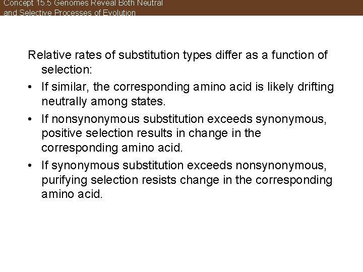 Concept 15. 5 Genomes Reveal Both Neutral and Selective Processes of Evolution Relative rates