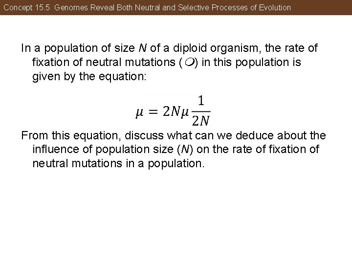 Concept 15. 5 Genomes Reveal Both Neutral and Selective Processes of Evolution In a