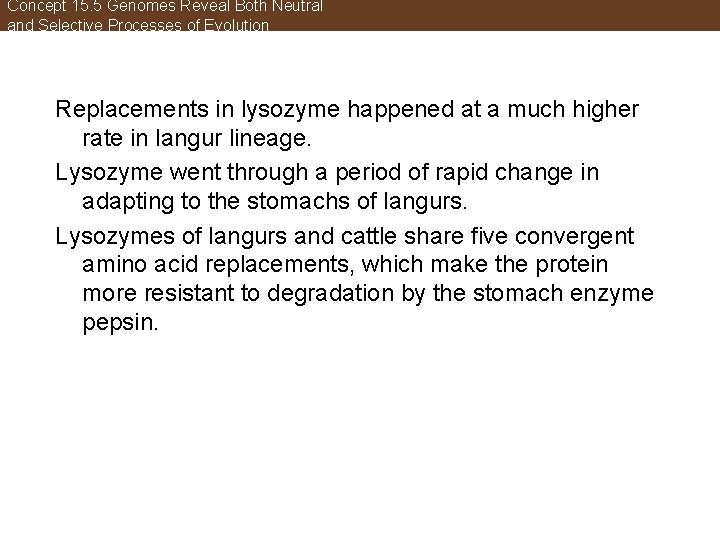 Concept 15. 5 Genomes Reveal Both Neutral and Selective Processes of Evolution Replacements in