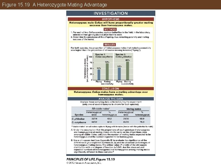 Figure 15. 19 A Heterozygote Mating Advantage 