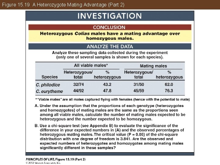 Figure 15. 19 A Heterozygote Mating Advantage (Part 2) 