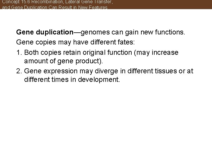 Concept 15. 6 Recombination, Lateral Gene Transfer, and Gene Duplication Can Result in New