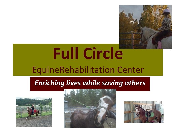 Full Circle Equine. Rehabilitation Center Enriching lives while saving others 