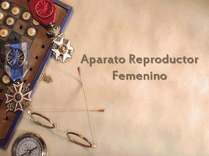 Aparato Reproductor Femenino 