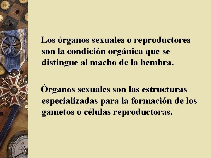 Los órganos sexuales o reproductores son la condición orgánica que se distingue al macho