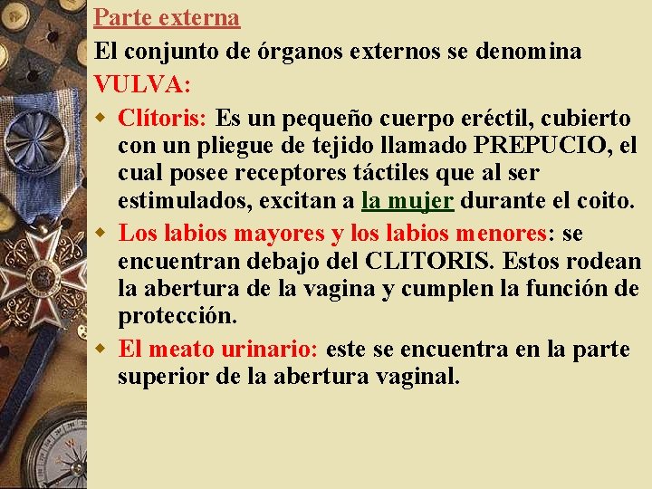 Parte externa El conjunto de órganos externos se denomina VULVA: w Clítoris: Es un