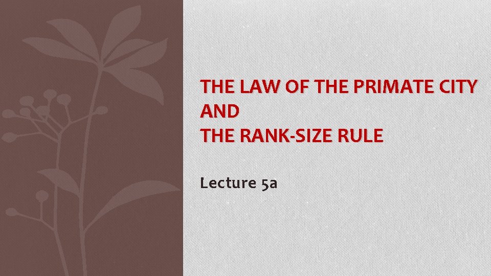 THE LAW OF THE PRIMATE CITY AND THE RANK-SIZE RULE Lecture 5 a 