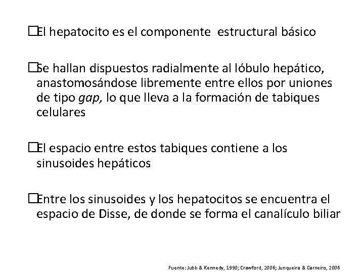 �El hepatocito es el componente estructural básico �Se hallan dispuestos radialmente al lóbulo hepático, �El hepatocito es el componente estructural básico �Se hallan dispuestos radialmente al lóbulo hepático,