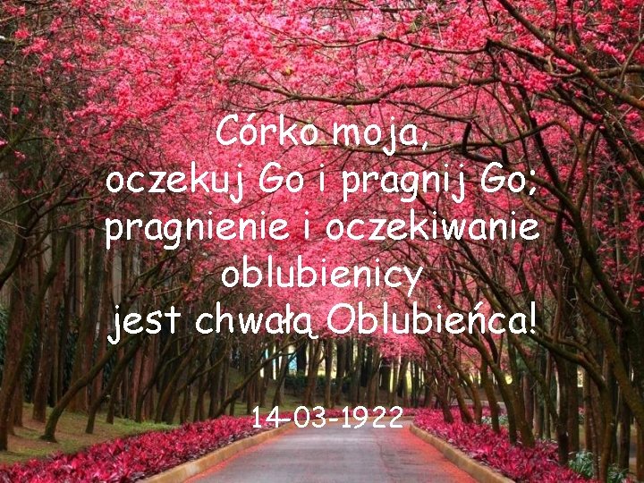 Córko moja, oczekuj Go i pragnij Go; pragnienie i oczekiwanie oblubienicy jest chwałą Oblubieńca!