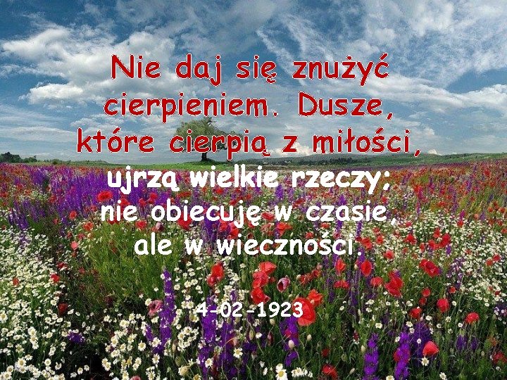 Nie daj się znużyć cierpieniem. Dusze, które cierpią z miłości, ujrzą wielkie rzeczy; nie