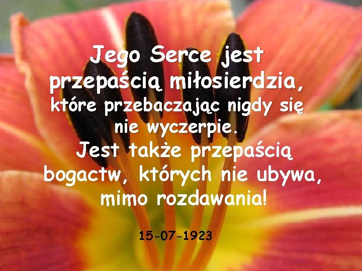Jego Serce jest przepaścią miłosierdzia, które przebaczając nigdy się nie wyczerpie. Jest także przepaścią