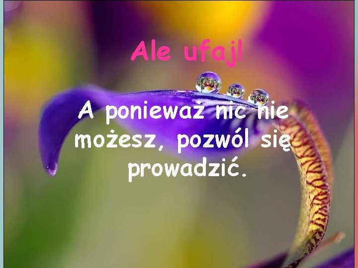 Ale ufaj! A ponieważ nic nie możesz, pozwól się prowadzić. 