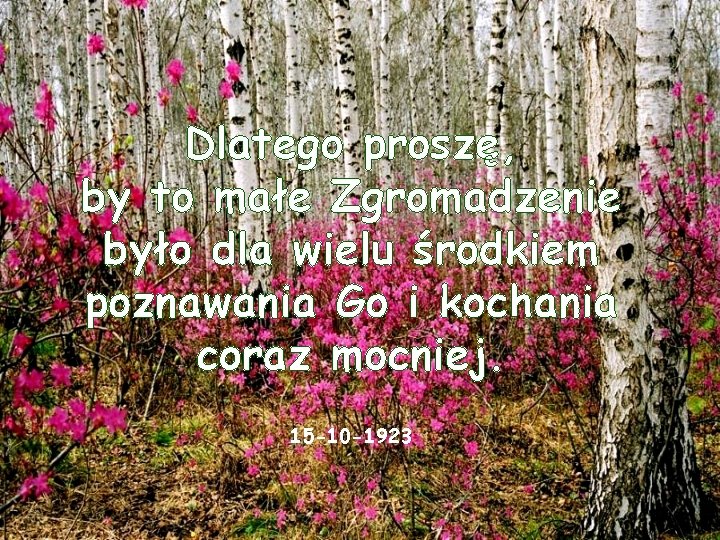 Dlatego proszę, by to małe Zgromadzenie było dla wielu środkiem poznawania Go i kochania