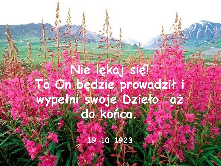 Nie lękaj się! To On będzie prowadził i wypełni swoje Dzieło aż do końca.