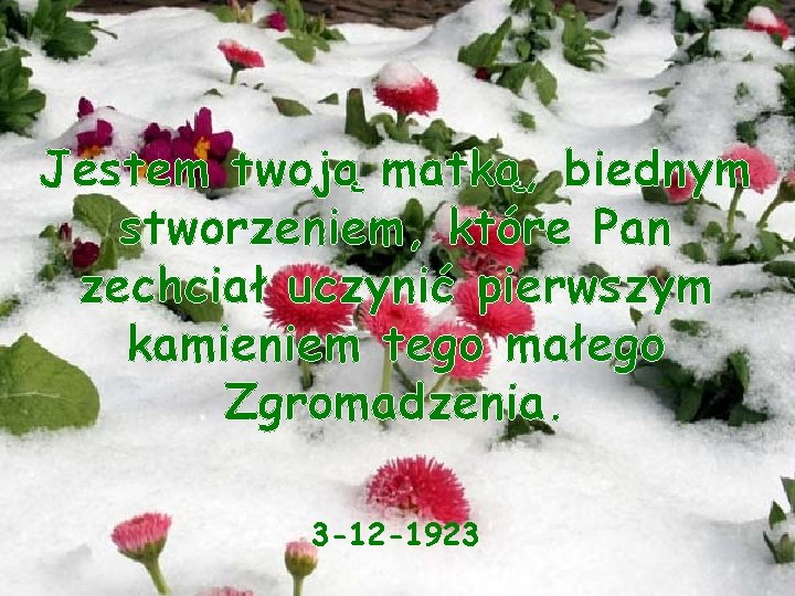 Jestem twoją matką, biednym stworzeniem, które Pan zechciał uczynić pierwszym kamieniem tego małego Zgromadzenia.