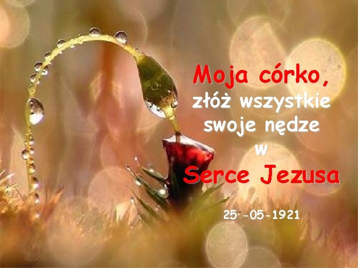 Moja córko, złóż wszystkie swoje nędze w Serce Jezusa 25 -05 -1921 