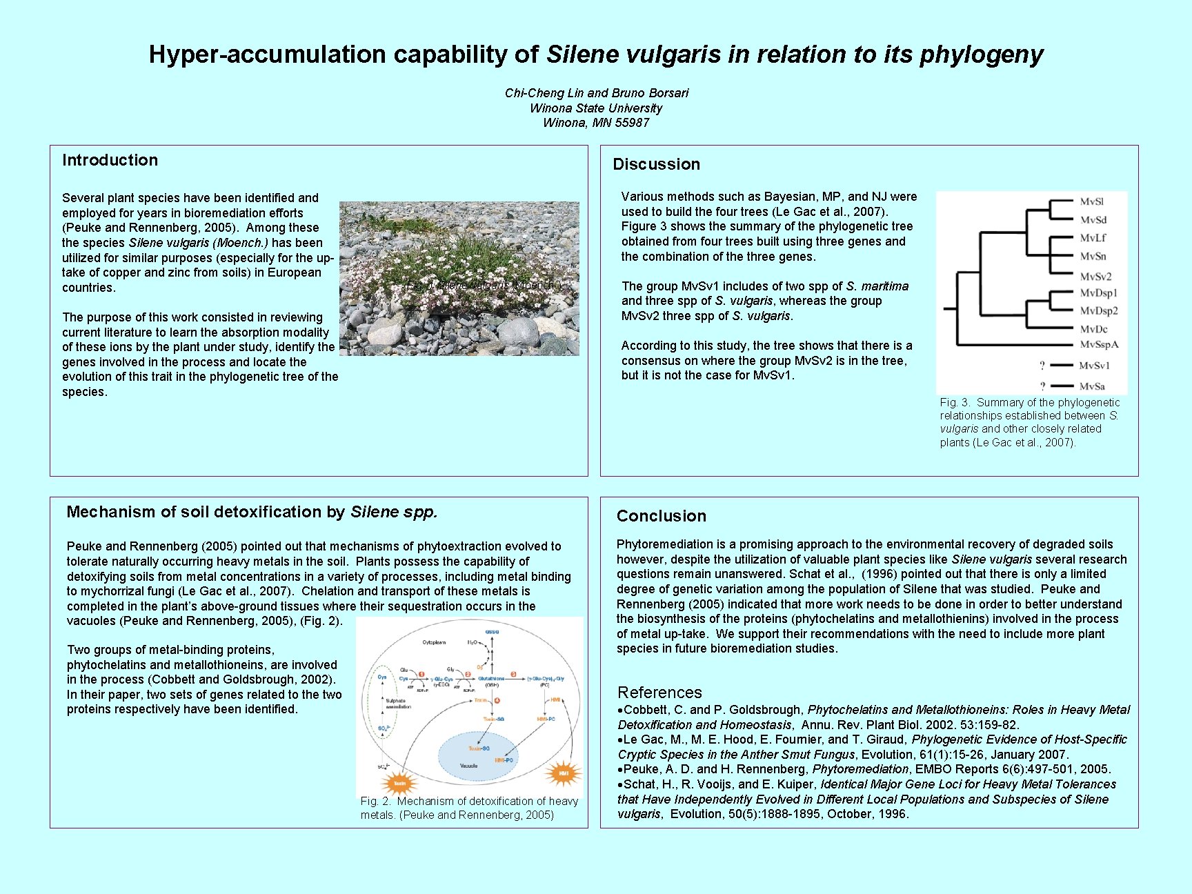 Hyper-accumulation capability of Silene vulgaris in relation to its phylogeny Chi-Cheng Lin and Bruno