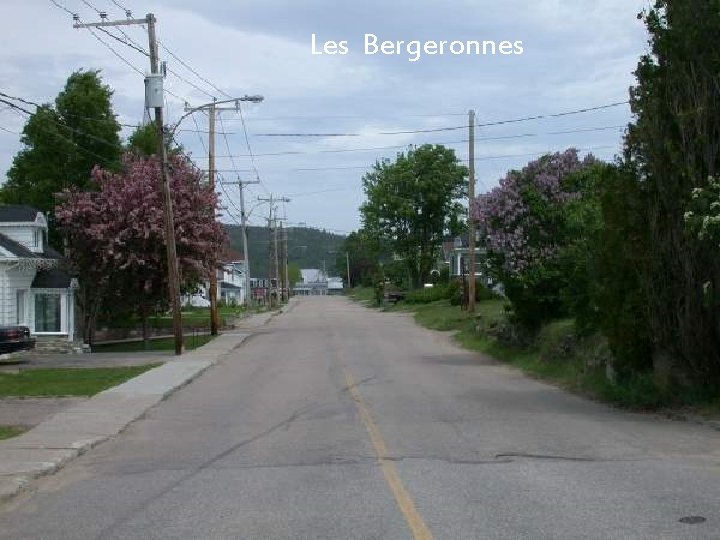 Les Bergeronnes 