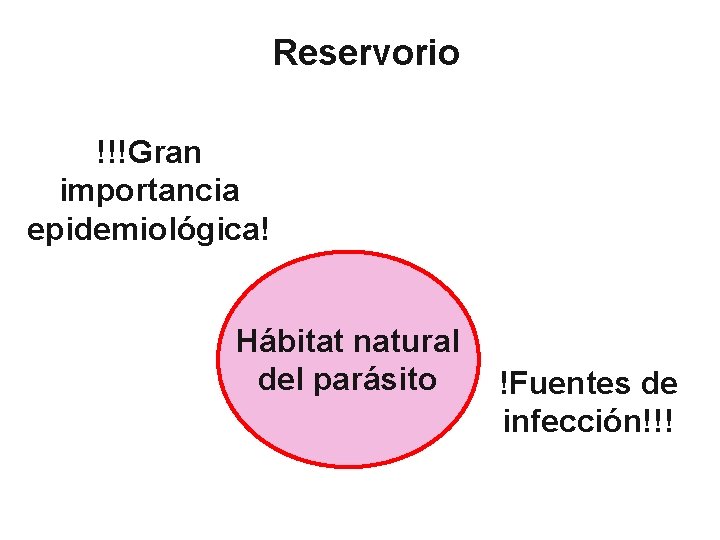 Reservorio !!!Gran importancia epidemiológica! Hábitat natural del parásito !Fuentes de infección!!! 