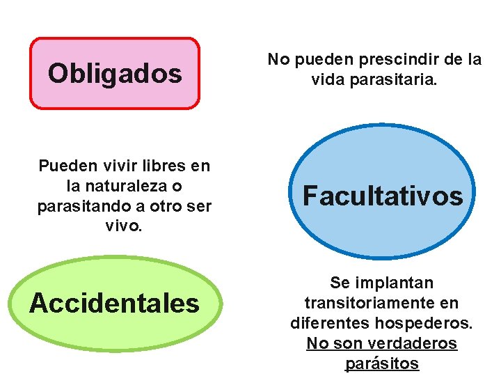 Obligados Pueden vivir libres en la naturaleza o parasitando a otro ser vivo. Accidentales