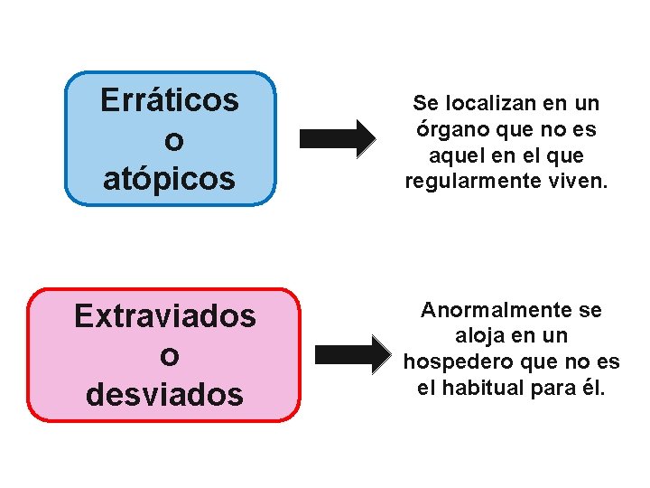 Erráticos o atópicos Se localizan en un órgano que no es aquel en el