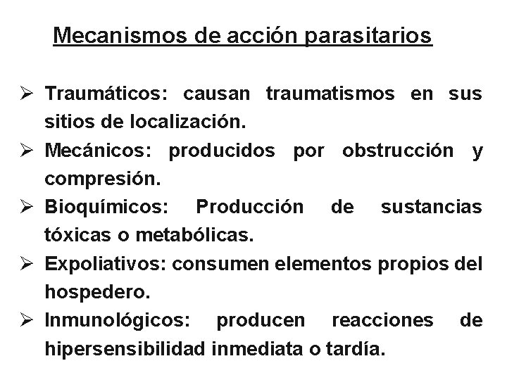 Mecanismos de acción parasitarios Ø Traumáticos: causan traumatismos en sus sitios de localización. Ø