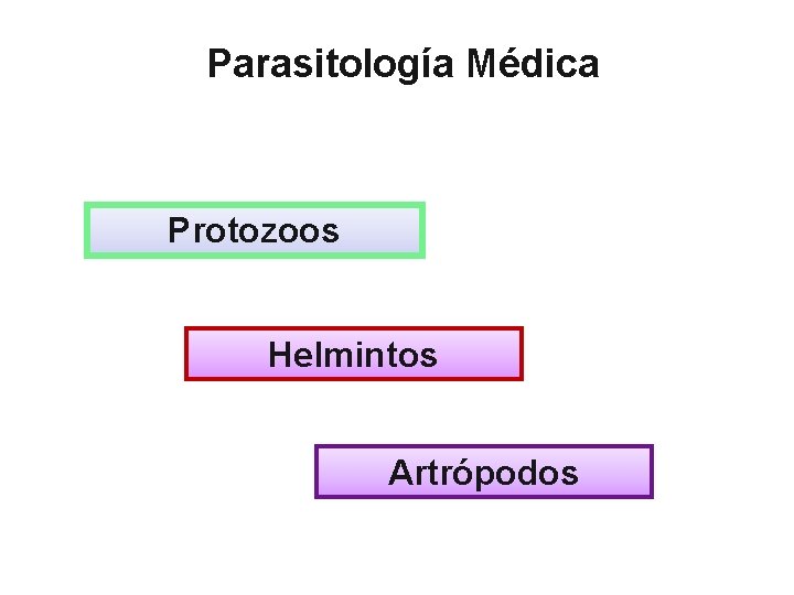 Parasitología Médica Protozoos Helmintos Artrópodos 