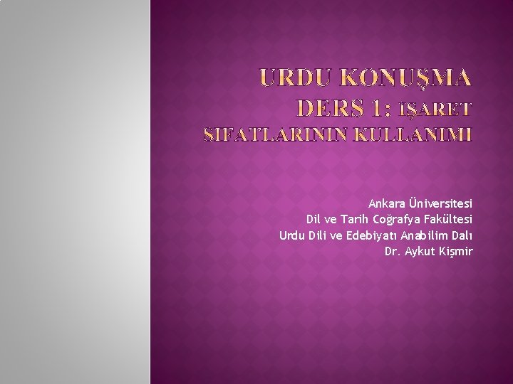 Ankara Üniversitesi Dil ve Tarih Coğrafya Fakültesi Urdu Dili ve Edebiyatı Anabilim Dalı Dr.