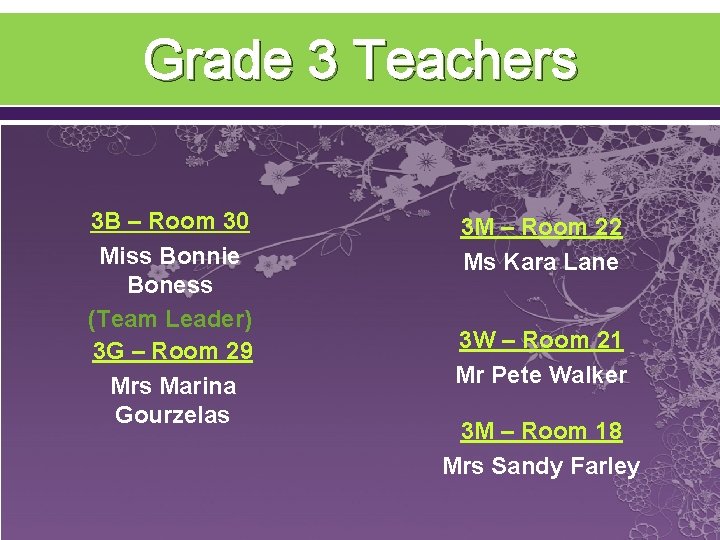 Grade 3 Teachers 3 B – Room 30 Miss Bonnie Boness (Team Leader) 3