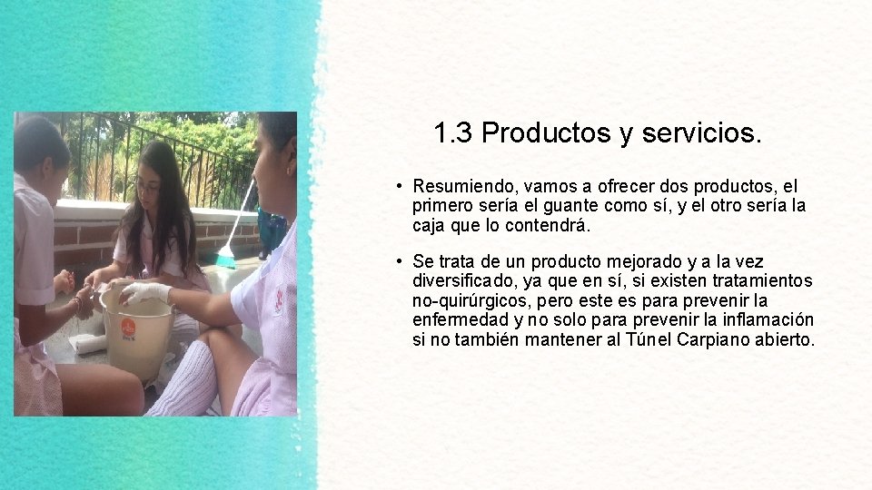 1. 3 Productos y servicios. • Resumiendo, vamos a ofrecer dos productos, el primero