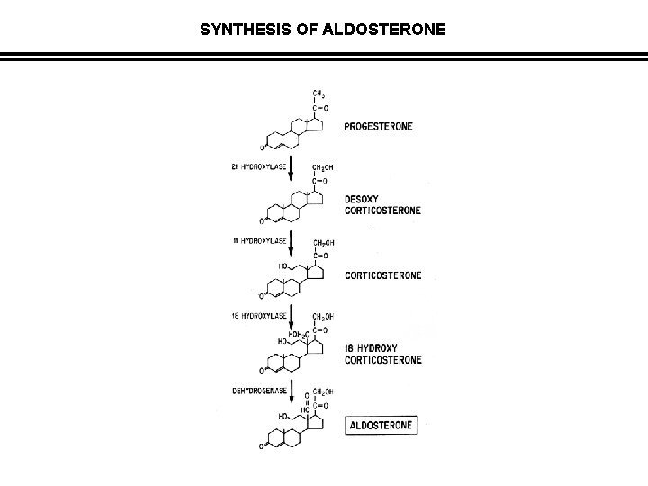 SYNTHESIS OF ALDOSTERONE 