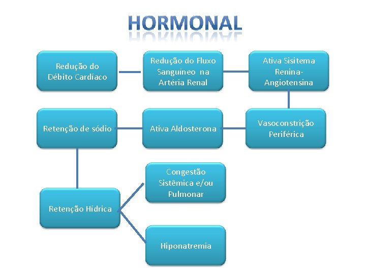 Redução do Débito Cardíaco Redução do Fluxo Sanguíneo na Artéria Renal Ativa Sisitema Renina.
