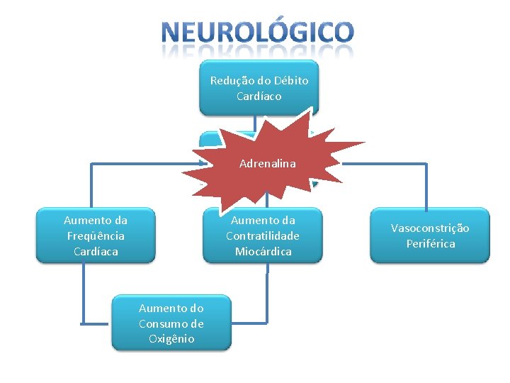 Redução do Débito Cardíaco Sistema Simpático Adrenalina Aumento da Freqüência Cardíaca Aumento da Contratilidade