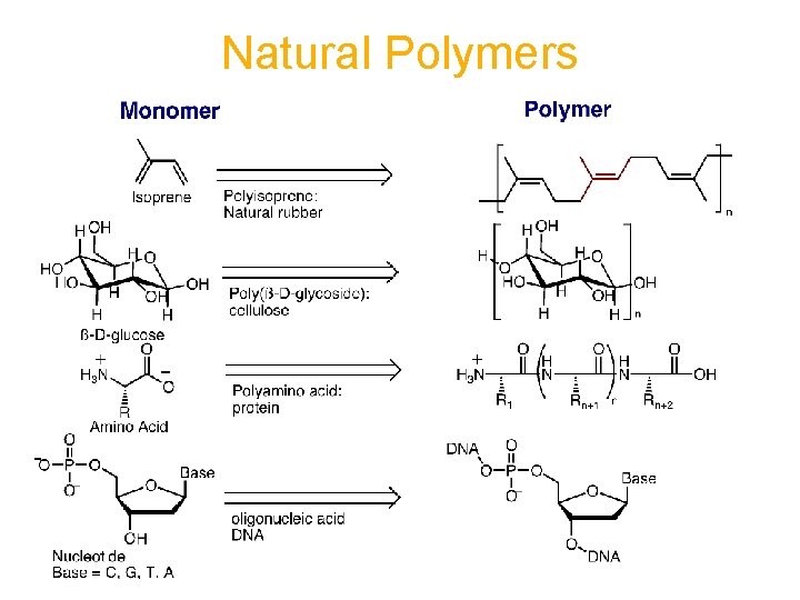 Natural Polymers 
