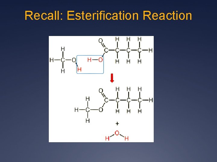 Recall: Esterification Reaction 